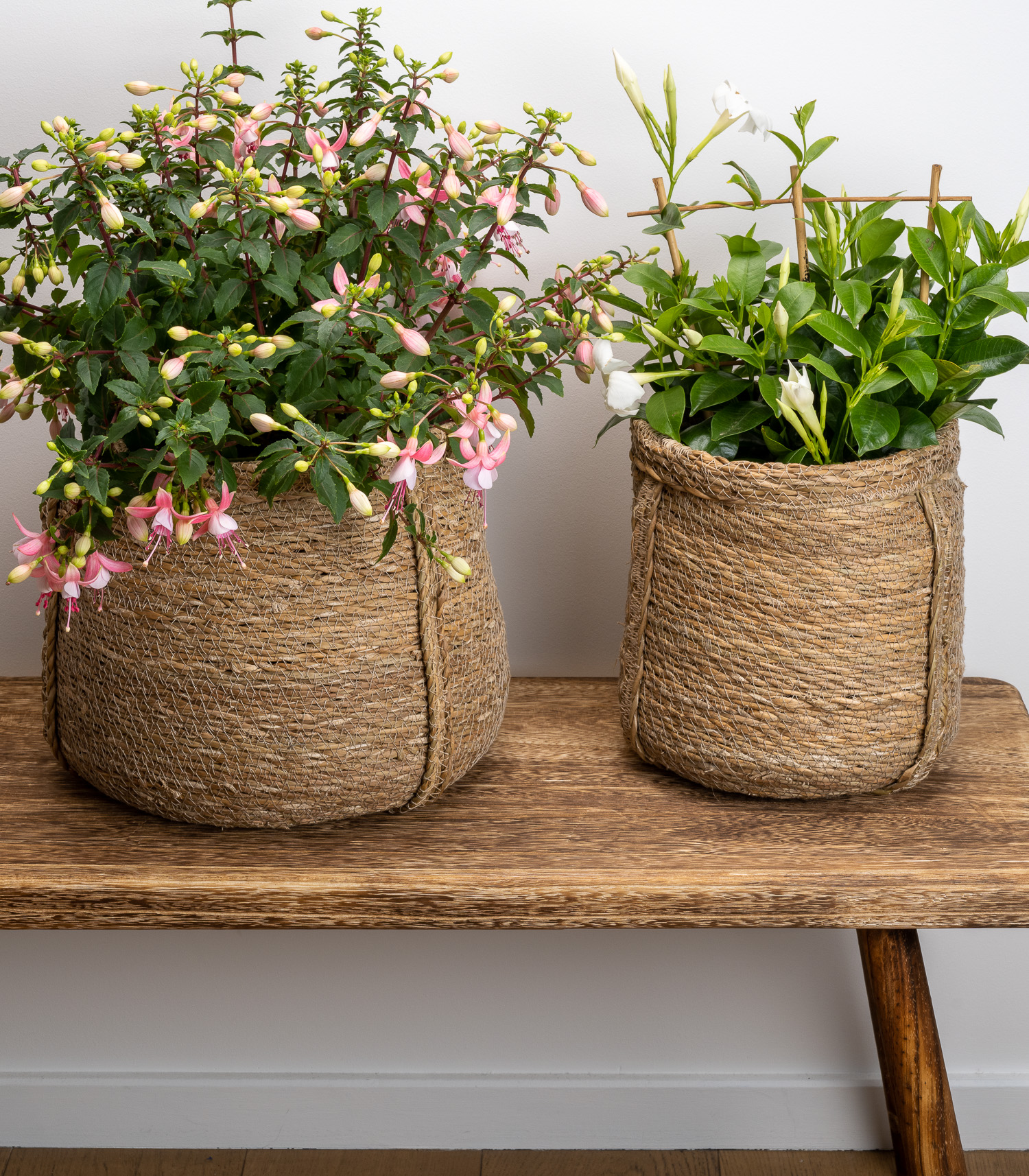 Cache pots en jonc de mer de la marque House Doctor. Idéal pour vos plantes vertes intérieures mais peut être utiliser comme rangement.